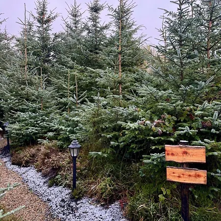 Sionnach - Private Outdoor Hot Tub - Pet Friendly * Kinlough