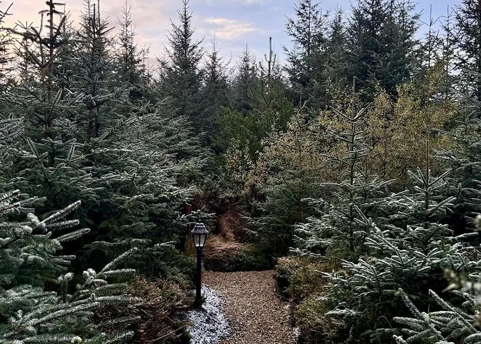 Sionnach - Private Outdoor Hot Tub - Pet Friendly